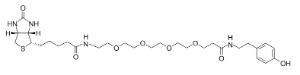 Biotin-pe g4-tyramide 45352