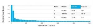Analysis of protein array containing more than 19,000 full-length human proteins using Anti-EIF4A2 Antibody [PCRP-EIF4A2-2B5