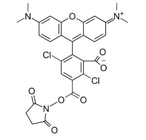 5-dtmr succinimidyl 307 5 mg