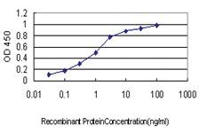 Anti-ARID3A Mouse Monoclonal Antibody [clone: 1A11]