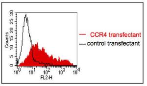 Anti-CCR4 Mouse monoclonal antibody [clone: 9E72]