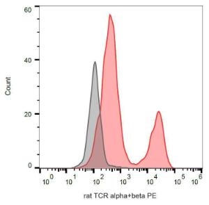 Surface staining of rat thymocytes with Anti-TCR alpha/beta Antibody (A86689)