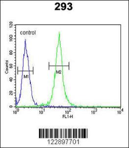 Anti-FOXC1 Rabbit Polyclonal Antibody (APC (Allophycocyanin))