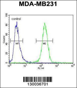 Anti-SMIM14 Rabbit Polyclonal Antibody (FITC (Fluorescein Isothiocyanate))