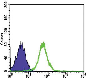 Anti-CDH2 Mouse Monoclonal Antibody [clone: 5D5]