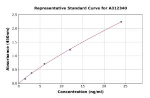 Representative standard curve for Mouse CRMP2 ELISA kit (A312340)