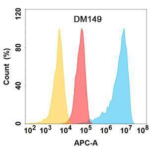 ROR1 protein is highly expressed on the surface of Expi293 cell membrane