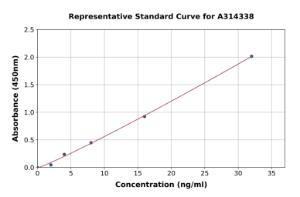 Representative standard curve for mouse NADPH Oxidase 4 ELISA kit (A314338)