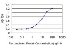 Anti-DSC3 Mouse Monoclonal Antibody [clone: 4D2]