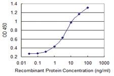 Anti-TAF6L Mouse Monoclonal Antibody [clone: 1C5]