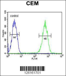 Anti-FADS2 Rabbit Polyclonal Antibody (HRP (Horseradish Peroxidase))