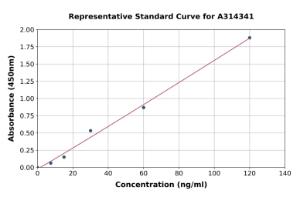 Representative standard curve for human LECT2 ELISA kit (A314341)