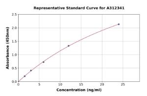 Representative standard curve for Human AMBN ELISA kit (A312341)