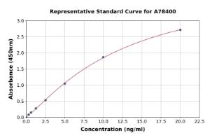 Representative standard curve for Human LRP5 ELISA kit (A78400)