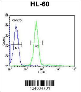 Anti-GRPR Rabbit Polyclonal Antibody (Biotin)