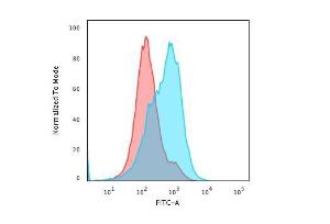 Flow cytometric analysis of paraformaldehyde fixed HepG2 cells using Anti-SUMO-1 Antibody [SM1/495] followed by Goat Anti-Mouse IgG (CFand#174; 488) (Blue). Isotype Control (Red)