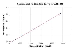 Representative standard curve for human Lysosomal Acid Lipase/LAL ELISA kit (A314345)