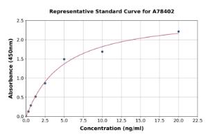 Representative standard curve for Human LRP6 ELISA kit (A78402)