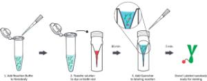 Mix-n-Stain™ nanobody labeling