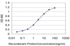 Anti-THNSL1 Mouse Monoclonal Antibody [clone: 6B1]