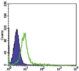 Anti-CHD3 Mouse Monoclonal Antibody [clone: 2G4]