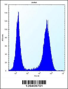 Anti-SPOPL Rabbit Polyclonal Antibody