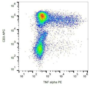 Antibody anti-TNF alpha MAB11 PE