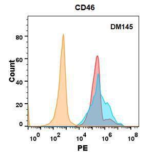 Anti-CD46 Antibody [DM145]