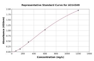 Representative standard curve for human CDX2 ELISA kit (A314349)