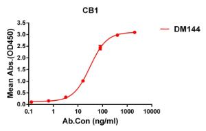 Anti-Cannabinoid Receptor I antibody