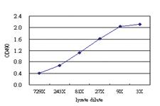 Anti-NEK11 Antibody Pair