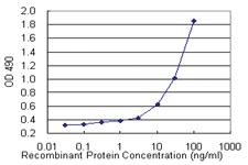 Anti-KISS1 Mouse Monoclonal Antibody (Biotin)