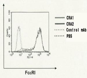 Anti-FCER1A antibody