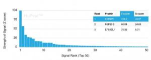 Analysis of protein array containing more than 19,000 full-length human proteins using Anti-SERBP1 Antibody [SERBP1/3509]