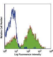 Anti-CD24 Rat Monoclonal Antibody [clone: M1/69]