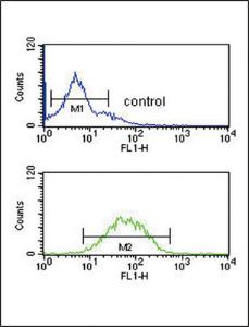 Anti-SPRY4-Y75 Rabbit Polyclonal Antibody (Biotin)