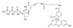 Fluorescein-12-dutp 17027