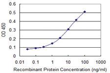 Anti-DUSP1 Mouse Monoclonal Antibody [clone: 4H7]