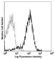 Anti-PECAM1 Rat Monoclonal Antibody