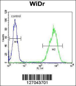 Anti-GSDMC Rabbit Polyclonal Antibody (Biotin)