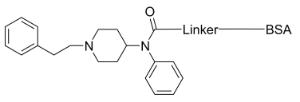 Fentanyl-bsa conj µga 50565 1 mg