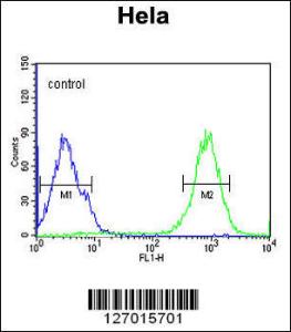 Anti-SPT13 Rabbit Polyclonal Antibody (APC (Allophycocyanin))