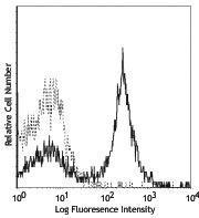 Anti-CD40 Hamster Monoclonal Antibody