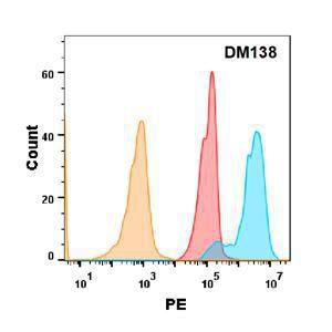 5T4 protein is highly expressed on the surface of Expi293 cell membrane