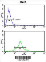 Anti-CDC20 Rabbit Polyclonal Antibody (AP (Alkaline Phosphatase))