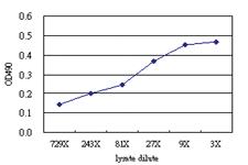 Anti-RCHY1 Antibody Pair