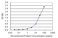 Anti-KIT Mouse Monoclonal Antibody (Biotin)