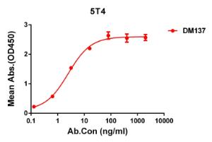 ELISA plate pre-coated by 1 µg/ml (100 µl/well) Recombinant Human 5T4 Protein (6×his tag) (A318304) can bind Anti-5T4 Antibody [DM137] - Azide free (A318570) in a linear range of 0.1-16 µg/ml