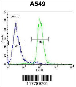 Anti-ANGPT2 Rabbit Polyclonal Antibody (FITC (Fluorescein Isothiocyanate))