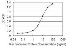 Anti-PJA2 Mouse Monoclonal Antibody [clone: 1G11]